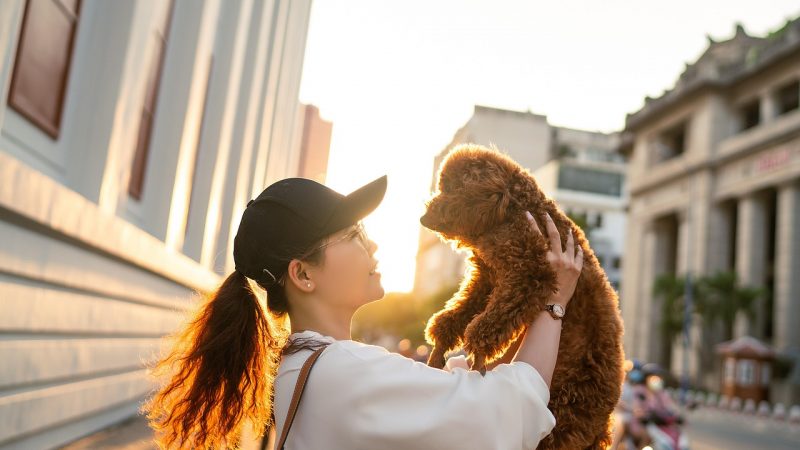Having a Pet Can Boost Life Satisfaction Just Like a Best Friend or Partner